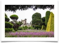 Topiary37 - Jackie Tucker
